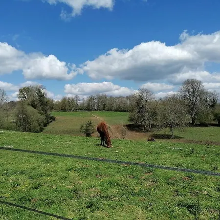 Οργανωμένο κάμπινγκ Forest Meadow Retreat Le Lindois